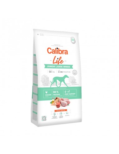 Calibra Dog Life Junior Large Breed Pollo