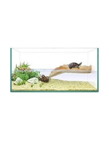 Tortuguera Isla Repti Selva Tortuguera Isla Repti Selva