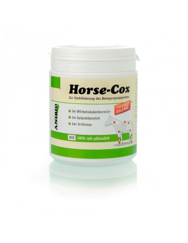 Anibio Horse Cox