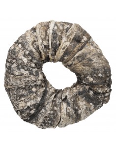 Snack Trixie Perro Anillo...