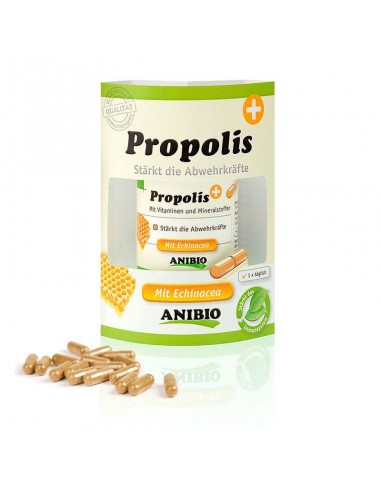 Anibio Própolis