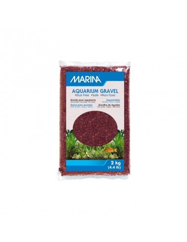 Marina Grava Decorativa Púrpura