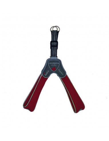 Arnés Coralpina Cinquetorri Granate