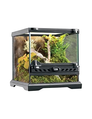 Terrario De Cristal Wide Exo Terra Terrario De Cristal Wide Exo Terra