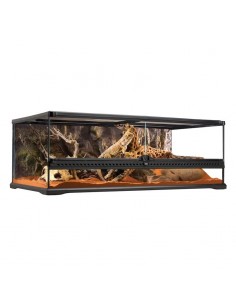 Terrario De Cristal Low Exo... 2