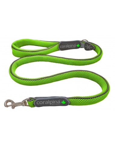 Correa Coralpina Cinquetorri Verde