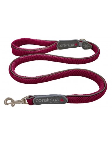 Correa Coralpina Cinquetorri Rojo vino