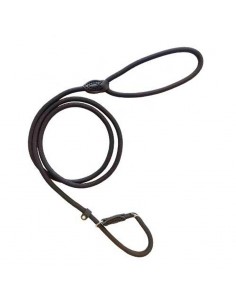 Correa Lazo Nylón Ibañez 2