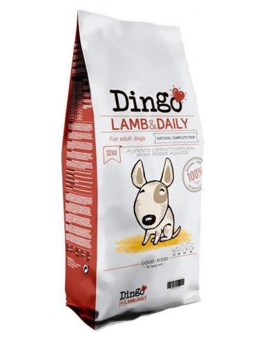 Dingo Lamb & Daily