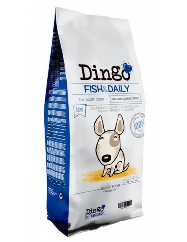 Dingo Fish & Daily