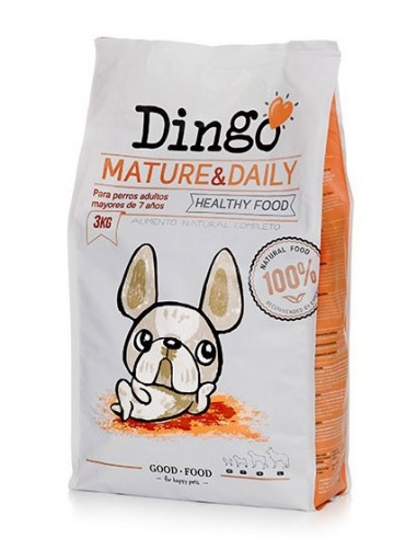 Dingo Mature & Daily