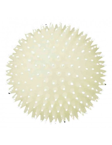 Trixie Juguete Perro Pelota Erizo...