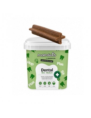 Dingo Moments Dental Razas Mini y Medium