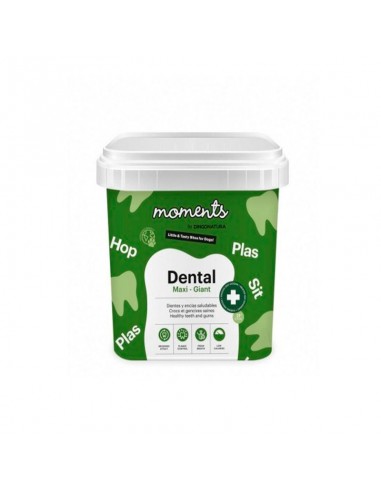 Dingo Moments Dental Razas Maxi Y Giant