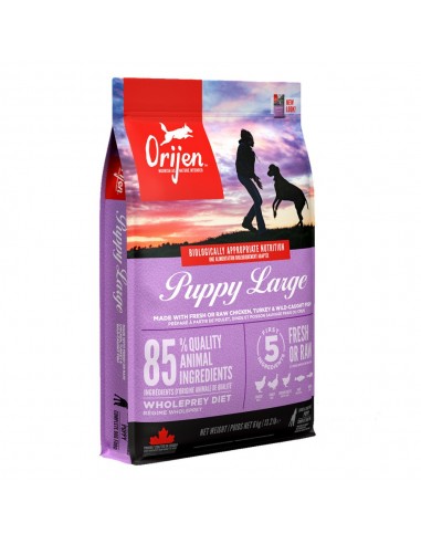 Orijen Perro Puppy Large Breed