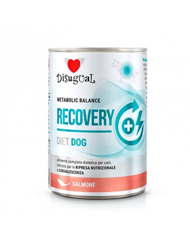 Disugual Diet Perro Recovery Pato Disugual Diet Perro Recovery Pato