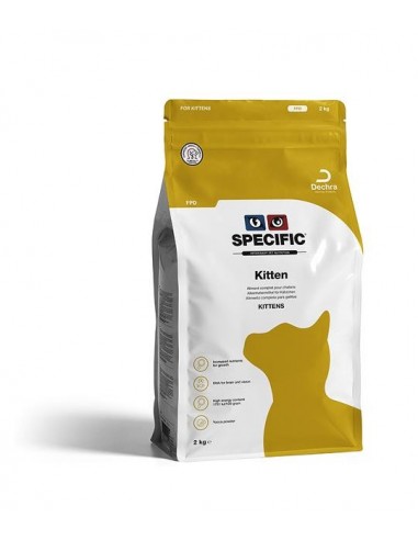 Specific Feline FPD Kitten