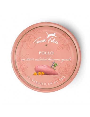 Terra Felis Gato Adulto Pollo Lata