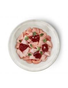 Terra Felis Gato Adulto... 2