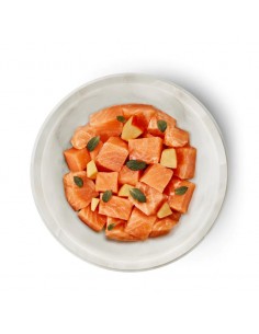 Terra Felis Gato Adulto... 2