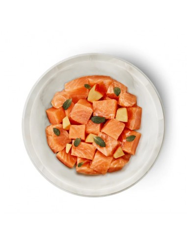 Terra Felis Gato Adulto Salmon Lata