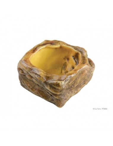 Bebedero Exo Terra Reptiles Bebedero Exo Terra Reptiles