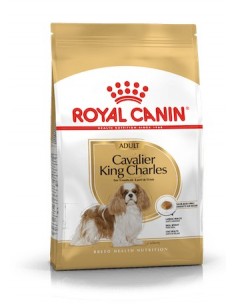 Royal Canin Canine Cavalier...