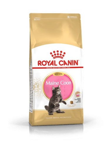 Royal Canin Feline Kitten Maine Coon