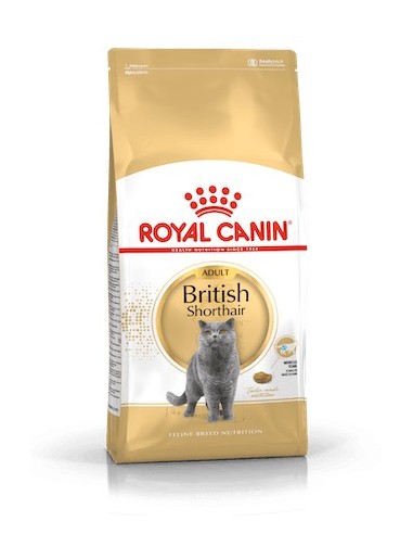 Royal Canin Feline British Shorthair