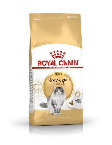 Royal Canin Feline Norwegian Forest
