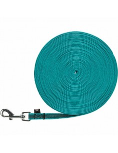 Trixie Correa De Rastreo...