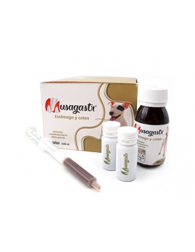 Musagastr Estómago y Colon