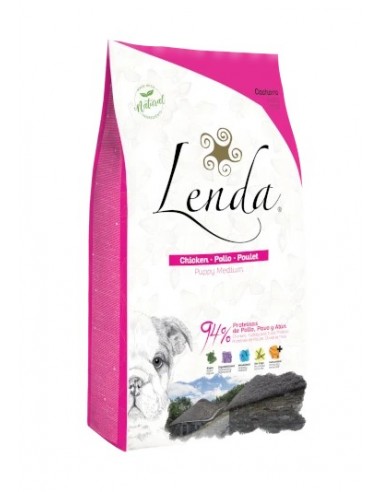 Lenda Perro Puppy