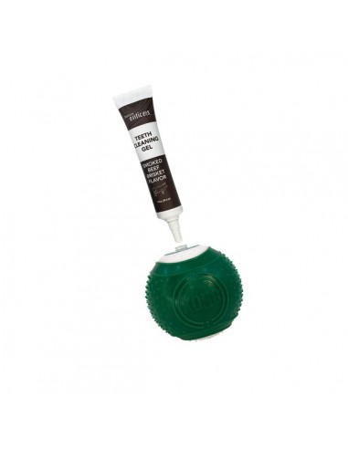 Kong Perro Dental Ball Kit S