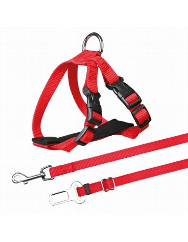 Trixie Gato Arnes Coche