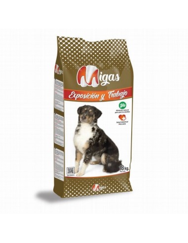 Migas Exposicion y Trabajo