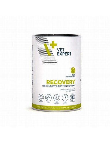 Vet Expert Perro Recovery Lata