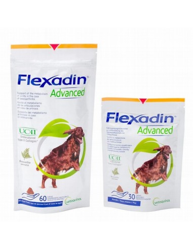 Flexadin Perro Advanced Condroprotector