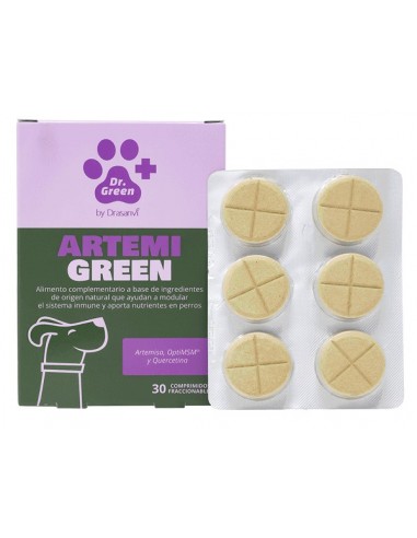 Dr. Green Artemigreen