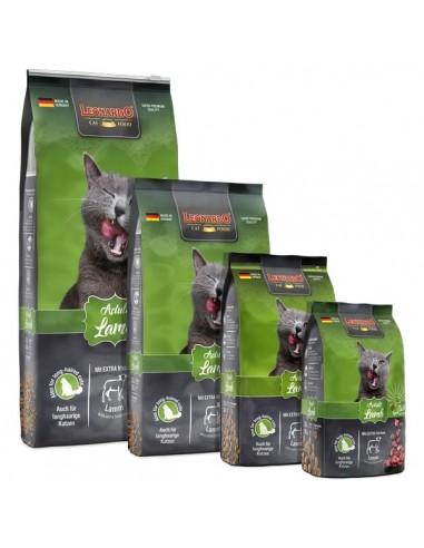 Leonardo Gato Cordero