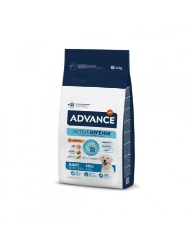 Advance Dog Maxi Adult Pollo y Arroz
