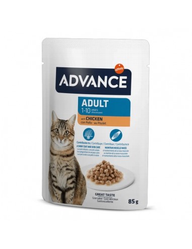 Advance Cat Adult Pollo Sobre