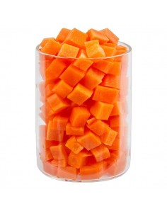 Terra Canis Sopa Moro... 2