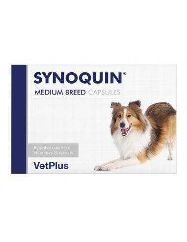 VetPlus Synoquin EFA Condroprotector...