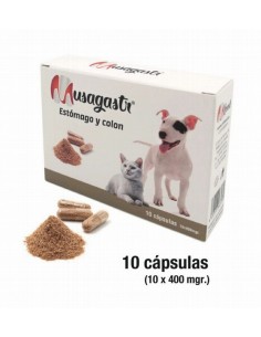 Musagastr Estómago y Colon...