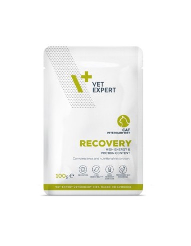 Vet Expert Gato Recovery Sobre