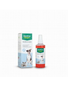 Stangest Dentican Spray