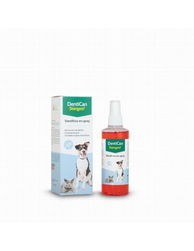 Stangest Dentican Spray