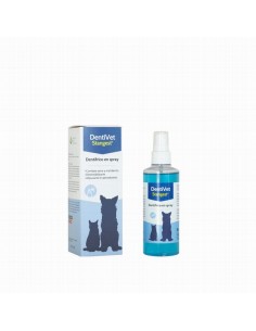 Stangest Dentivet...