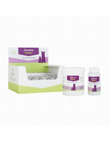 Stangest Glutavet Comprimidos